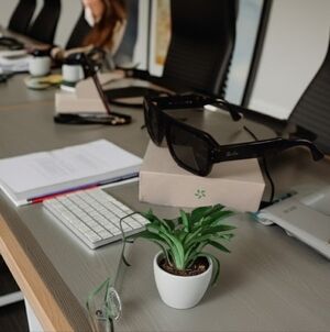 Ray-Ban Black Sunglasses for Home Office Style